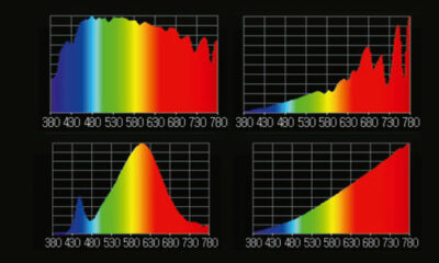 Lichtspektrum, Baubiologie